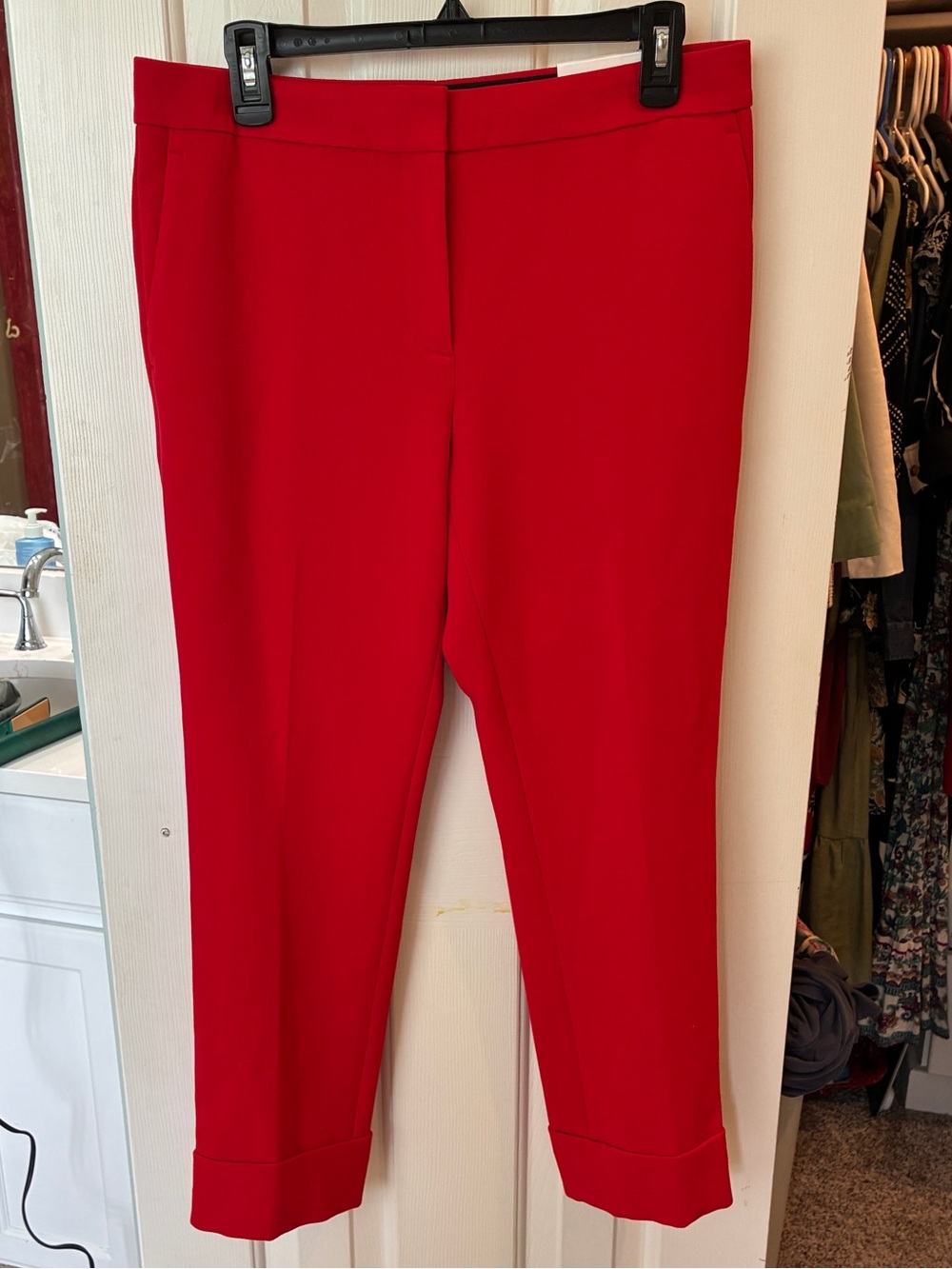 Ann Taylor Red Women's The Ankle Dress Pants